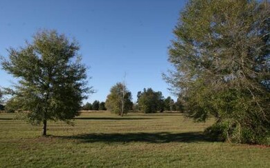 LOT64 Mandiba Dr, Lake City, FL 32024 - photo 2