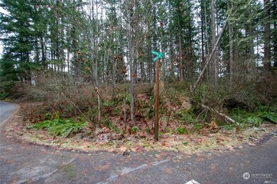 18404 Rampart Ct SE, Yelm, WA 98597 - photo 4