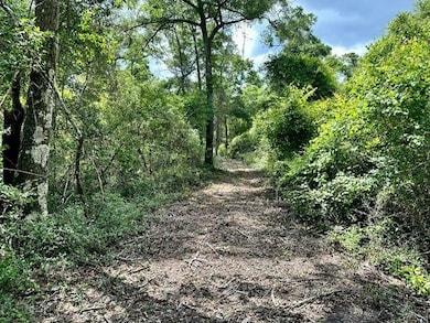 0 Jack Crum Rd unit 359125, Crawfordville, FL 32327 - photo 6