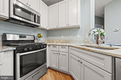 14322 Climbing Rose Way unit 102, Centreville, VA 20121 - photo 5