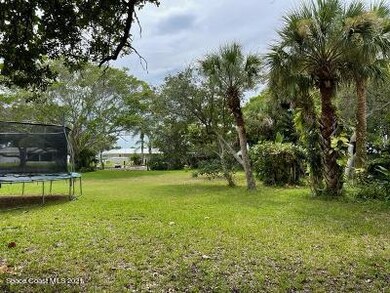 lots of back yard