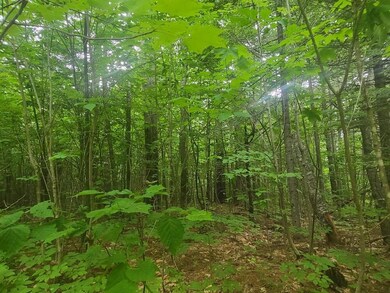 M31 L27,28 Magrath Rd, Unorganized Territory of Perkins, ME 04294 - photo 7