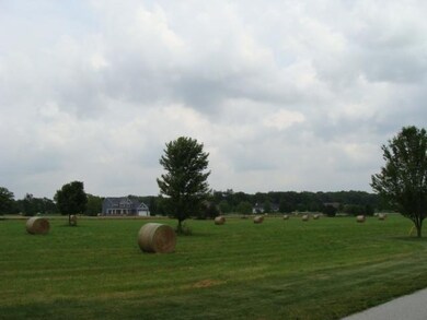 Lot 49 W 154th Place, West Creek Township, IN 46303 - photo 7