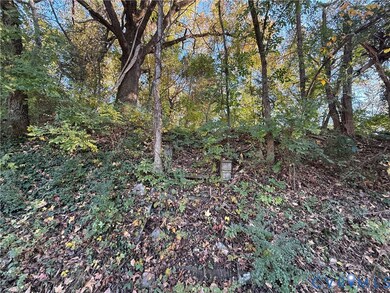 0 Old Halifax Rd, Danville, VA 24540 - photo 5