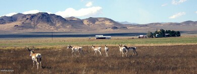 6700 Antelope Cir, Austin, NV 89310 - photo 6