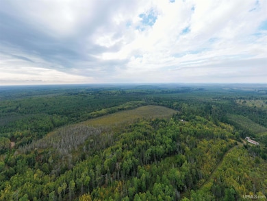 TBD M69 Hwy, Spalding, MI 49886 - photo 2