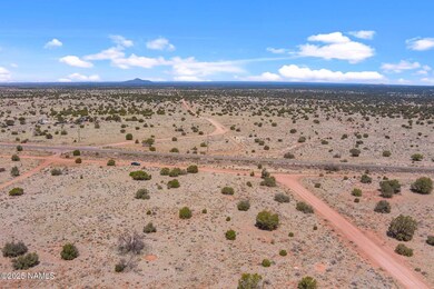 3202 S Canyon Vista Rd, Valle, AZ 86046 - photo 7