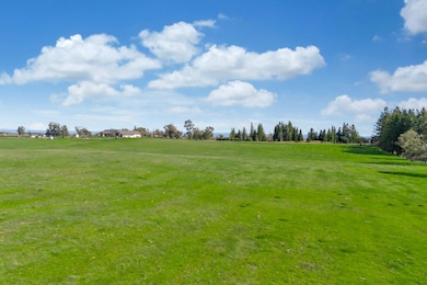 #1 Alta Mesa Rd, Wilton, CA 95693 - photo 7