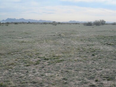 000 W Ellis Rd unit 2-3-5, Eloy, AZ 85131 - photo 3