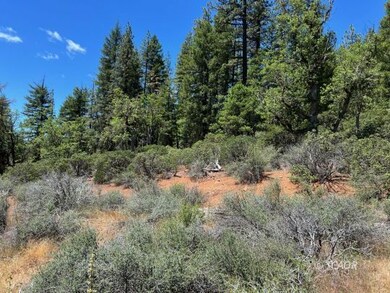 The Land