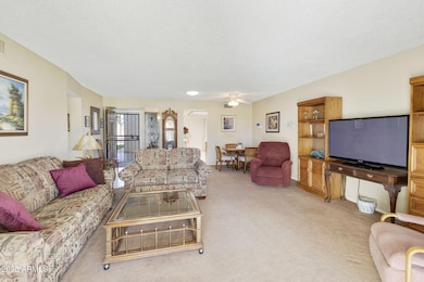 557 S Palo Verde Way unit 147, Mesa, AZ 85208 - photo 2