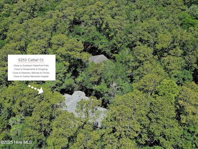 6253 Cattail Ct, Southport, NC 28461 - photo 4