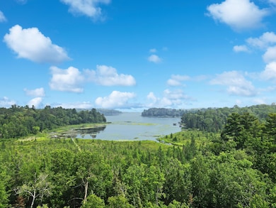 TBD Lower Ten Mile Lake Rd NW, Hackensack, MN 56452 - photo 5