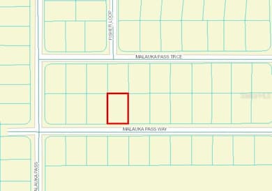 0 Malauka Pass Way, Ocklawaha, FL 32179 - photo 2