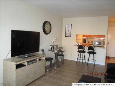 Elmwood Park Drive unit 209, Staten Island, NY 10314 - photo 7