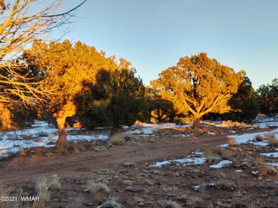 IMG_20210127_173031673_HDR