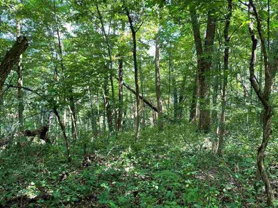 14.14 ac Smock Valley Rd, Browntown, WI 53522 - photo 4