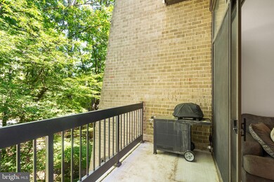 11557 Rolling Green Ct unit 300, Reston, VA 20191 - photo 6