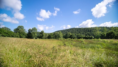 12808 Ohio 348, Otway, OH 45657 - photo 3