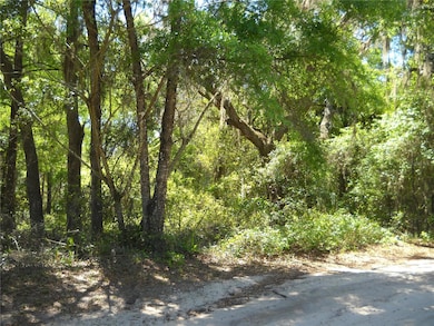 00 NE 167th Place, Citra, FL 32113 - photo 2