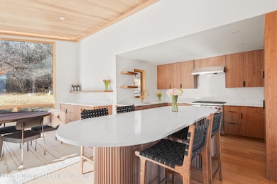 120 Turtle Cove, Aspen, CO 81611 - photo 5