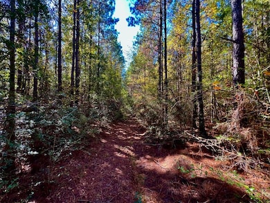 0 Old Salt Rd unit LotWP001, Sumrall, MS 39482 - photo 4