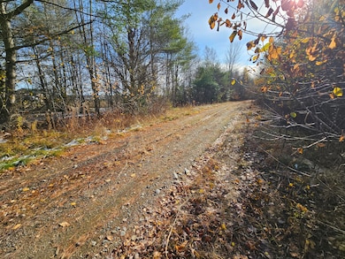 M5, L87-1 Main St, Palmyra, ME 04965 - photo 5
