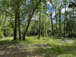 1/2 acre