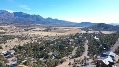IMG_8331