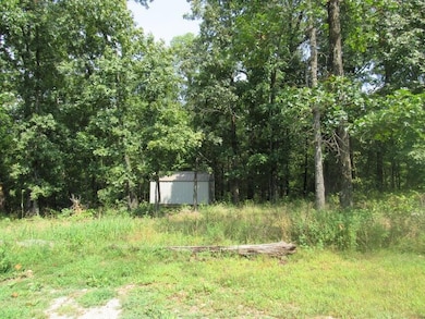 347 Country Farm Dr, West Ozark Township, MO 65706 - photo 3