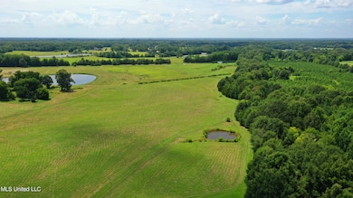 0 Russell Rd, Flora, MS 39071 - photo 5