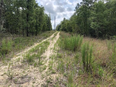 03. Sandpiper Dr