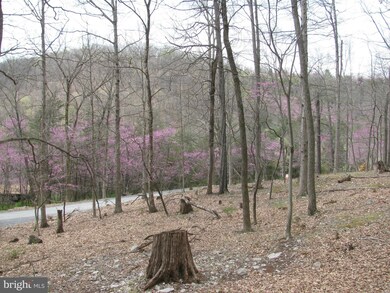 0 Settlers Valley Way unit 1000146727, Lost River, WV 26810 - photo 3