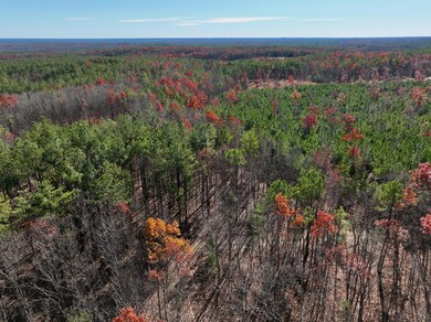 0 Lemon Ridge Ln unit 923092, Piney Mountain, VA 24522 - photo 6