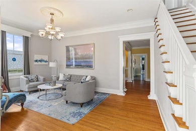 The living room features a ceiling medallion, mold