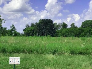 LOT 9