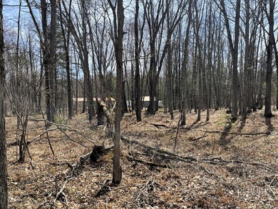 Woods with Back of Home View