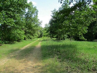 17122 Primrose Ln, Fayetteville, AR 72704 - photo 3