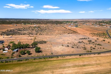 2808 S Bourdon Ranch Rd, Show Low, AZ 85901 - photo 2