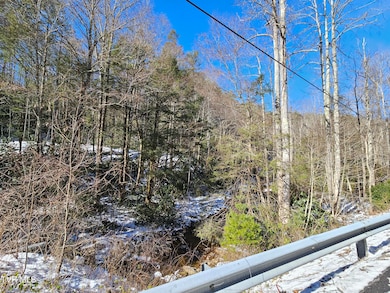 Tbd Viking Mtn Rd, Greeneville, TN 37743 - photo 7