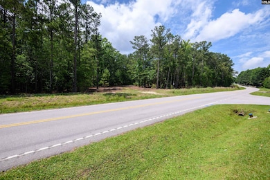 227 State Road S-32-145 unit LOT 3, Lexington, SC 29072 - photo 4