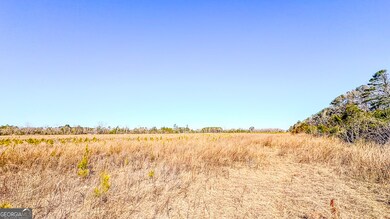 0 N Highway 301 unit 12, Statesboro, GA 30461 - photo 5