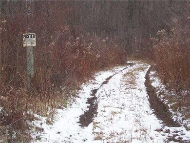 Other Driveway