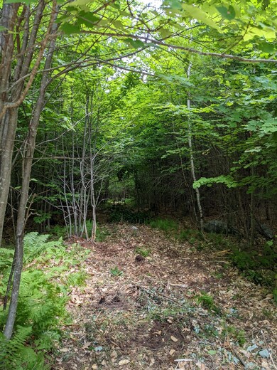 Off W Salisbury Rd unit 7, Salisbury, NH 03268 - photo 6