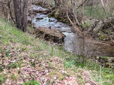 902 Spillcorn Rd, Marshall, NC 28753 - photo 7