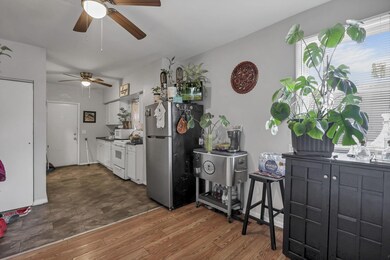 6-web-or-mls-5F3A6312