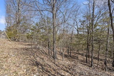 000 Map Ln, Branson, MO 65616 - photo 4