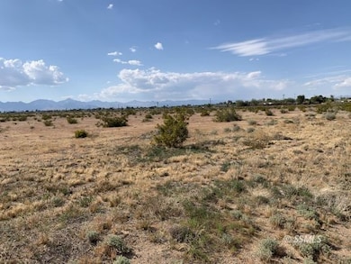 509-090-30 Bowman Rd, Ridgecrest, CA 93555 - photo 2