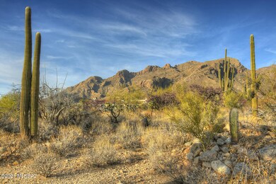 DSC_0555A
