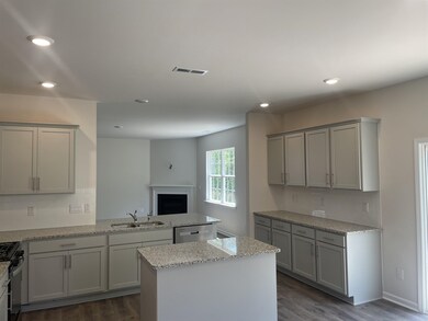 166 David Hill Dr, Buffalo Lake, NC 27330 - photo 7